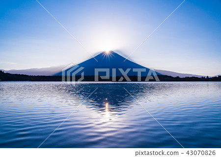 (Shizuoka) Diamond Fuji of Tanuki Lake 43070826