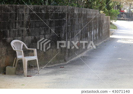 Bise Fukugi其中一棵樹 Bise Fukugi其中一棵樹 43071140