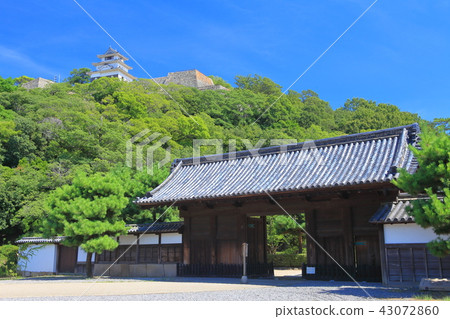 Marugamei城堡的主要門和城堡塔 Marugamei城堡的主要門和城堡塔 43072860