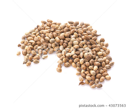 Heap of hemp seeds on white background Heap of hemp seeds on white background 43073563