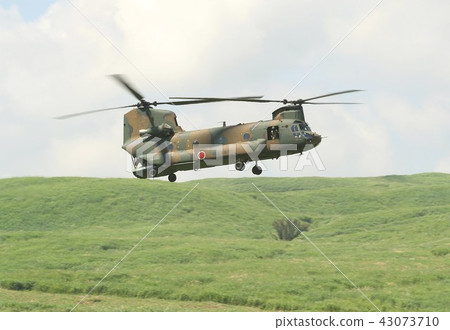 CH-47J Chinook Transport Helicopter of the Ground Self Defense Force who is also active in disaster dispatch that fly lowland in the East Fuji training grounds field CH-47J Chinook Transport Helicopter of the Ground Self Defense Force who is also active in disaster dispatch that fly lowland in the East Fuji training grounds field 43073710