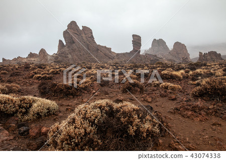 Roques de Garcia covered with fog Roques de Garcia covered with fog 43074338