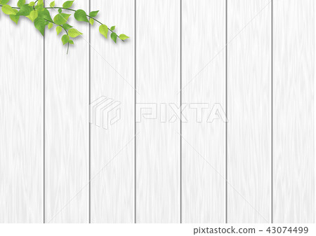 Background material Shiraki leaves 43074499