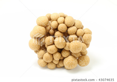 Vegetables, Shimeji, Mushrooms 43074635