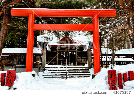 札幌伏見 - 稻荷神社的崇拜者在冬天 札幌伏見 - 稻荷神社的崇拜者在冬天 43075397