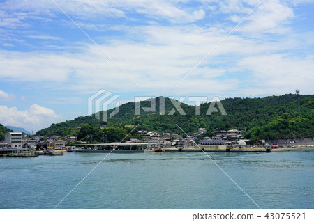 直島·宮浦港 直島·宮浦港 43075521