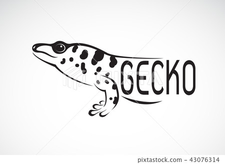 Vector of a Madagascar giant day gecko. Vector of a Madagascar giant day gecko. 43076314