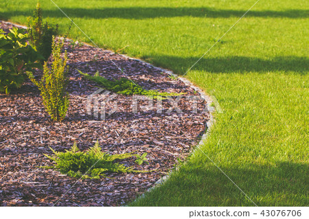 Garden lawn and bark in flowerbed. Garden lawn and bark in flowerbed. 43076706