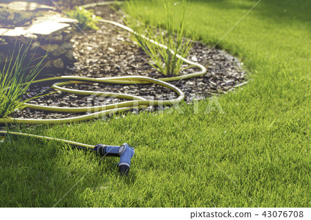 Rubber garden hose laying on lawn and bark Rubber garden hose laying on lawn and bark 43076708