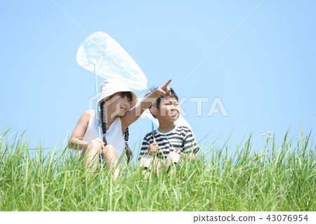 Taking insects with my sister 43076954