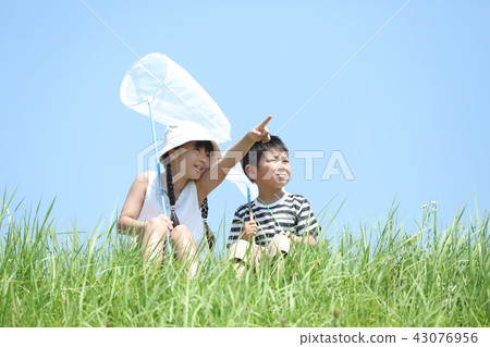 Taking insects with my sister Taking insects with my sister 43076956