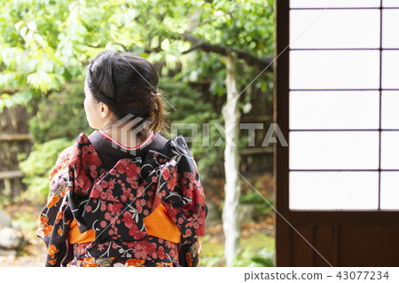 日本服裝女性後方外觀 43077234