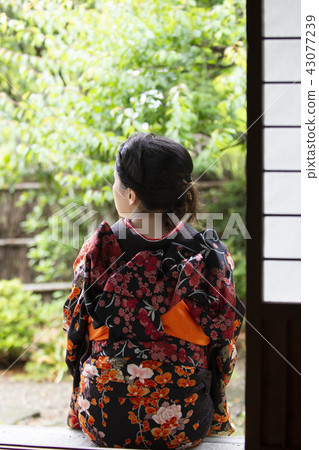 Japanese clothes female rear appearance Japanese clothes female rear appearance 43077239