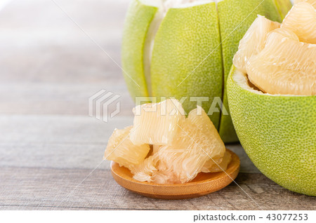 柚子本旦中秋節柚子柚子柚子柚子本旦 43077253