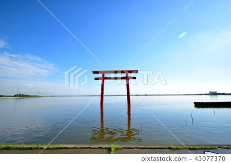 鹿島京井和幸鳥居 鹿島京井和幸鳥居 43077370