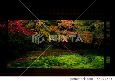 Rurikoin寺秋葉 43077373