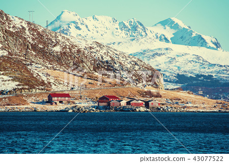 Winter Norway landscape 43077522