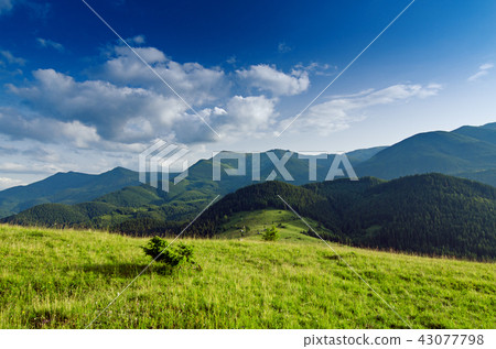 Carpathian mountain landscape Carpathian mountain landscape 43077798