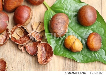 chestnuts seed on wood chestnuts seed on wood 43078465