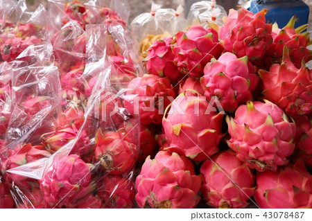 dragon fruit at street road dragon fruit at street road 43078487