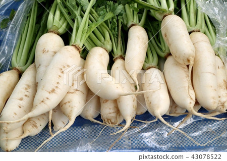 radish at street food 43078522
