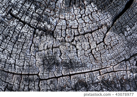 Old vintage antique wood Old vintage antique wood 43078977