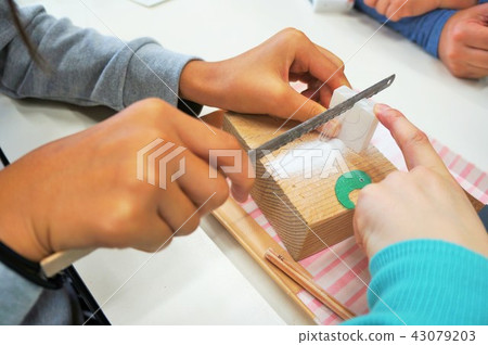 Magadama experience Magadama experience 43079203