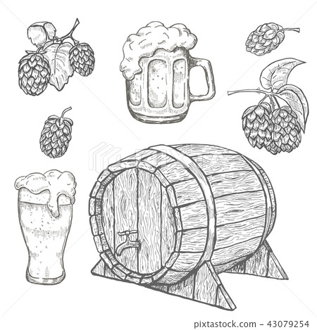 Sketches of hop plant, wood barrel and beer mugs Sketches of hop plant, wood barrel and beer mugs 43079254