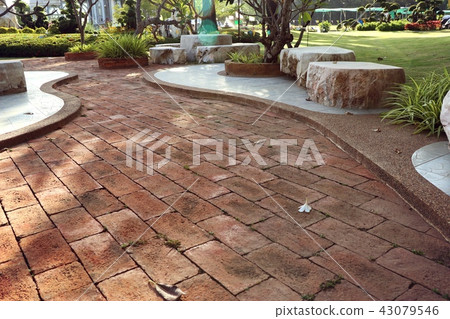 Walkway in the garden Walkway in the garden 43079546