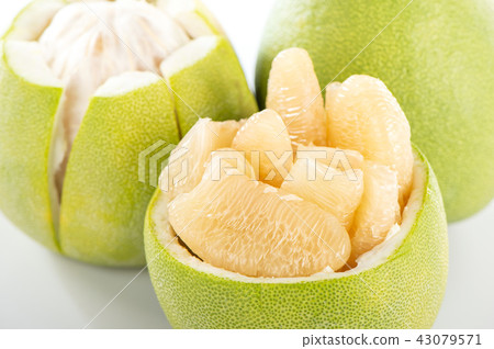 柚子本旦中秋節柚子柚子柚子柚子本旦 43079571