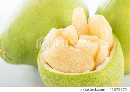 Yuzu bundan mid-autumn festival pomelo fruit grapefruit yuzu yuzu buntan 43079573