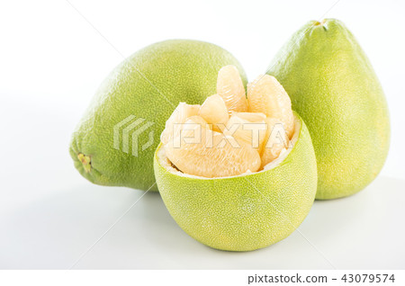 柚子本旦中秋節柚子柚子柚子柚子本旦 43079574