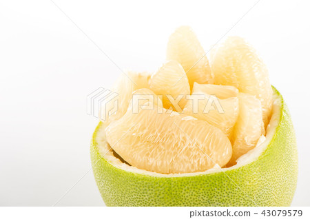 柚子本旦中秋節柚子柚子柚子柚子本旦 43079579