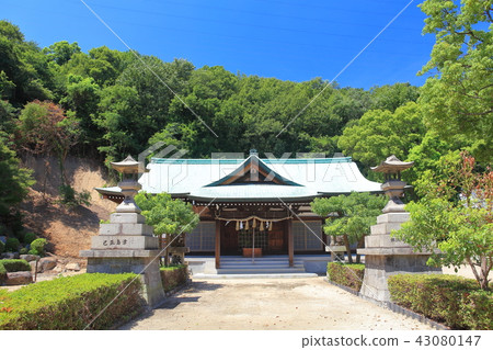 坂出的鹽沼神社 坂出的鹽沼神社 43080147