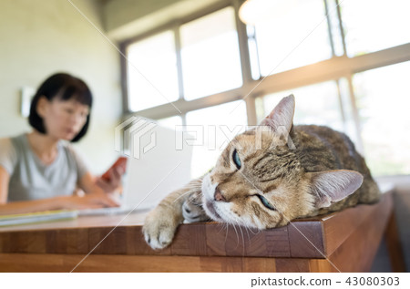 working at home with her cat 43080303