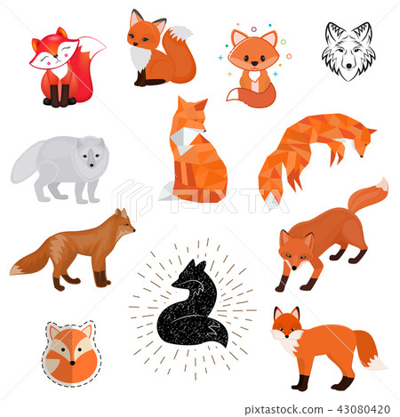 Fox Vector Cartoon Cute Illustration Of Animal 插圖素材 圖庫