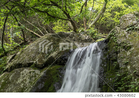 Okutama Mitsukuba Waterfall Okutama Mitsukuba Waterfall 43080602