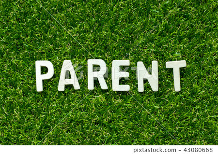 Wood alphabet in word parent on green grass Wood alphabet in word parent on green grass 43080668