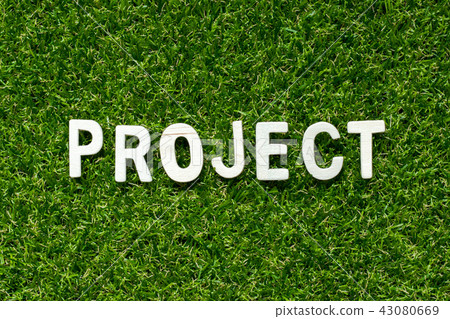 Wood alphabet in word project on green grass Wood alphabet in word project on green grass 43080669