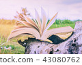 The book rests on tree stump. The winds are blowin 43080762
