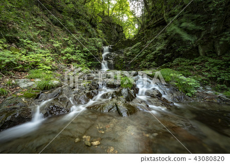 檜原村Ku Dragon's Falls 檜原村Ku Dragon's Falls 43080820