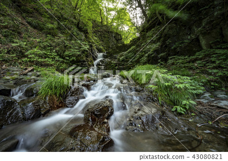 檜原村Ku Dragon's Falls 43080821
