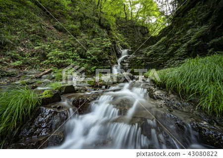 檜原村Ku Dragon's Falls 檜原村Ku Dragon's Falls 43080822
