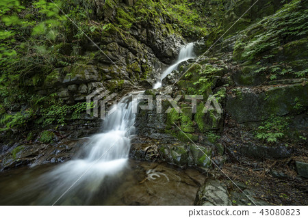 檜原村Ku Dragon's Falls 檜原村Ku Dragon's Falls 43080823