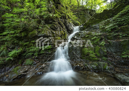 檜原村Ku Dragon's Falls 檜原村Ku Dragon's Falls 43080824