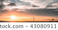 panoramic view Beauty and Color of the sky at suns 43080911