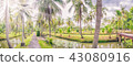 Panorama view in the afternoon light. The Park in  43080916