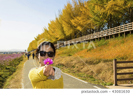 秋天風景在韓國 秋天風景在韓國 43081630
