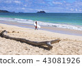 Hawaii beach · 03 43081926