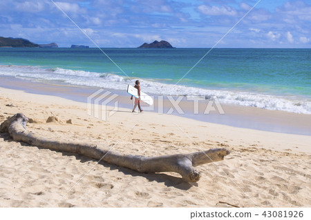 夏威夷海灘·03 夏威夷海灘·03 43081926